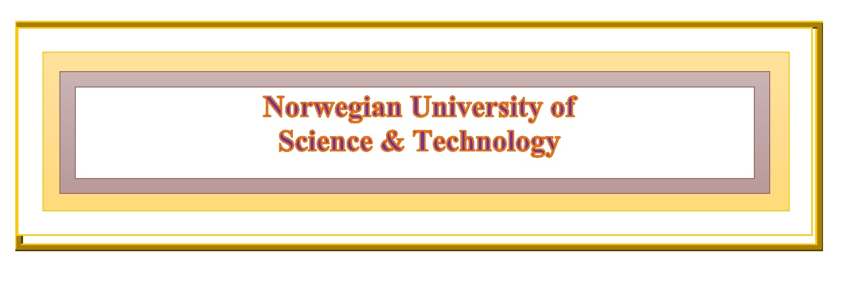 Norwegian University of Science & Technology